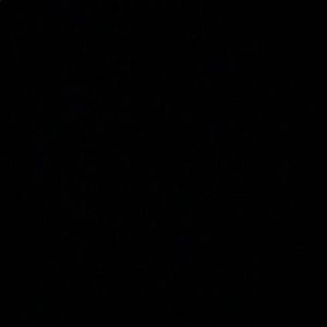 Meet your Posher, Siani